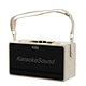 Portable karaoke speaker
